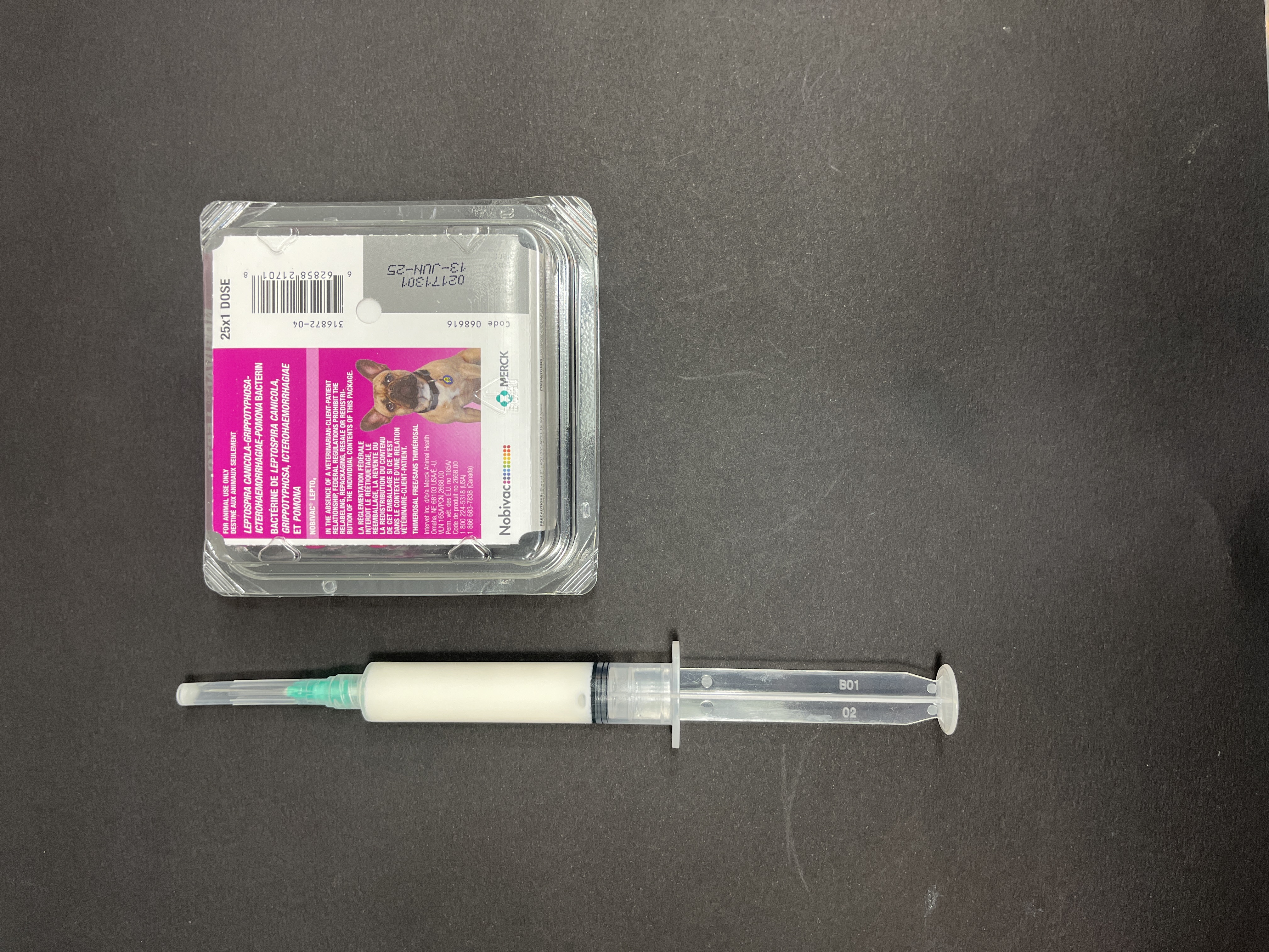 1cc Syringe